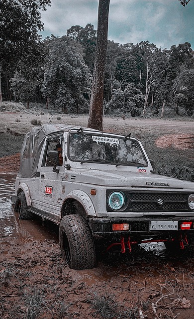 花还是中国 花还是中国