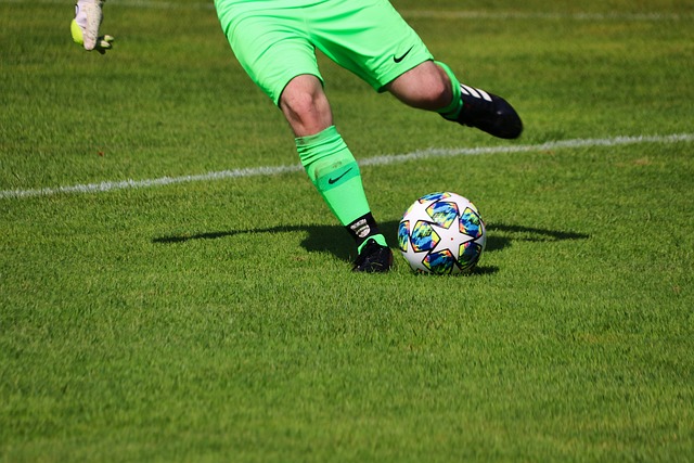 无论你是打 无论你是打