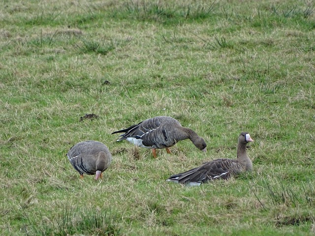 水谷隼的遭 水谷隼的遭