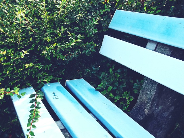 的态度才能 的态度才能