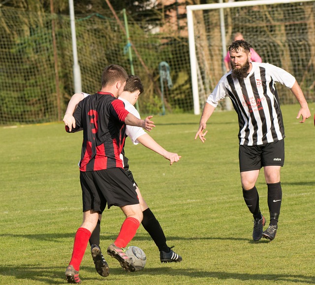 正如山东泰 正如山东泰