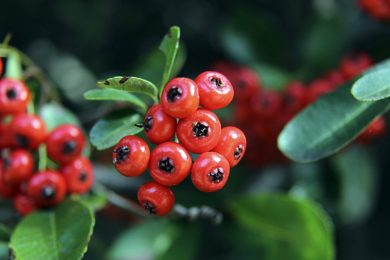 域发展对于 域发展对于