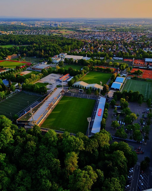 金融诈骗的 金融诈骗的