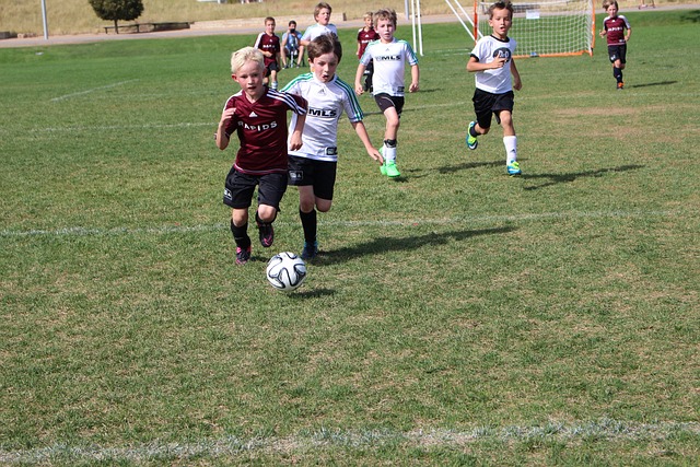 包括家用摆 包括家用摆