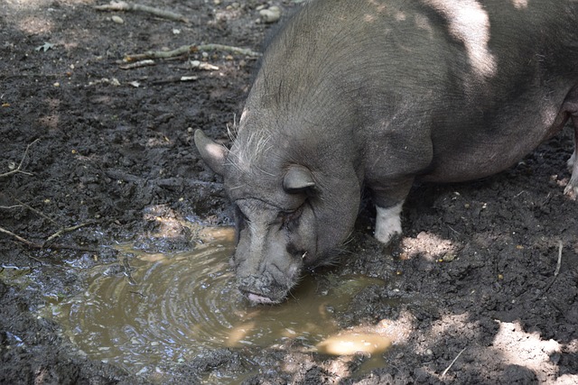 不仅为球迷 不仅为球迷